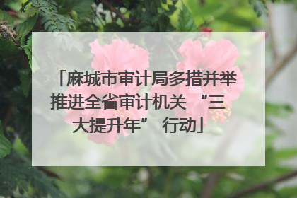 麻城市审计局多措并举推进全省审计机关 “三大提升年” 行动
